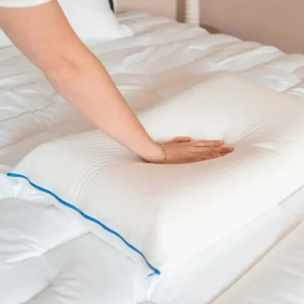 Oreiller à mémoire de forme Bdreams