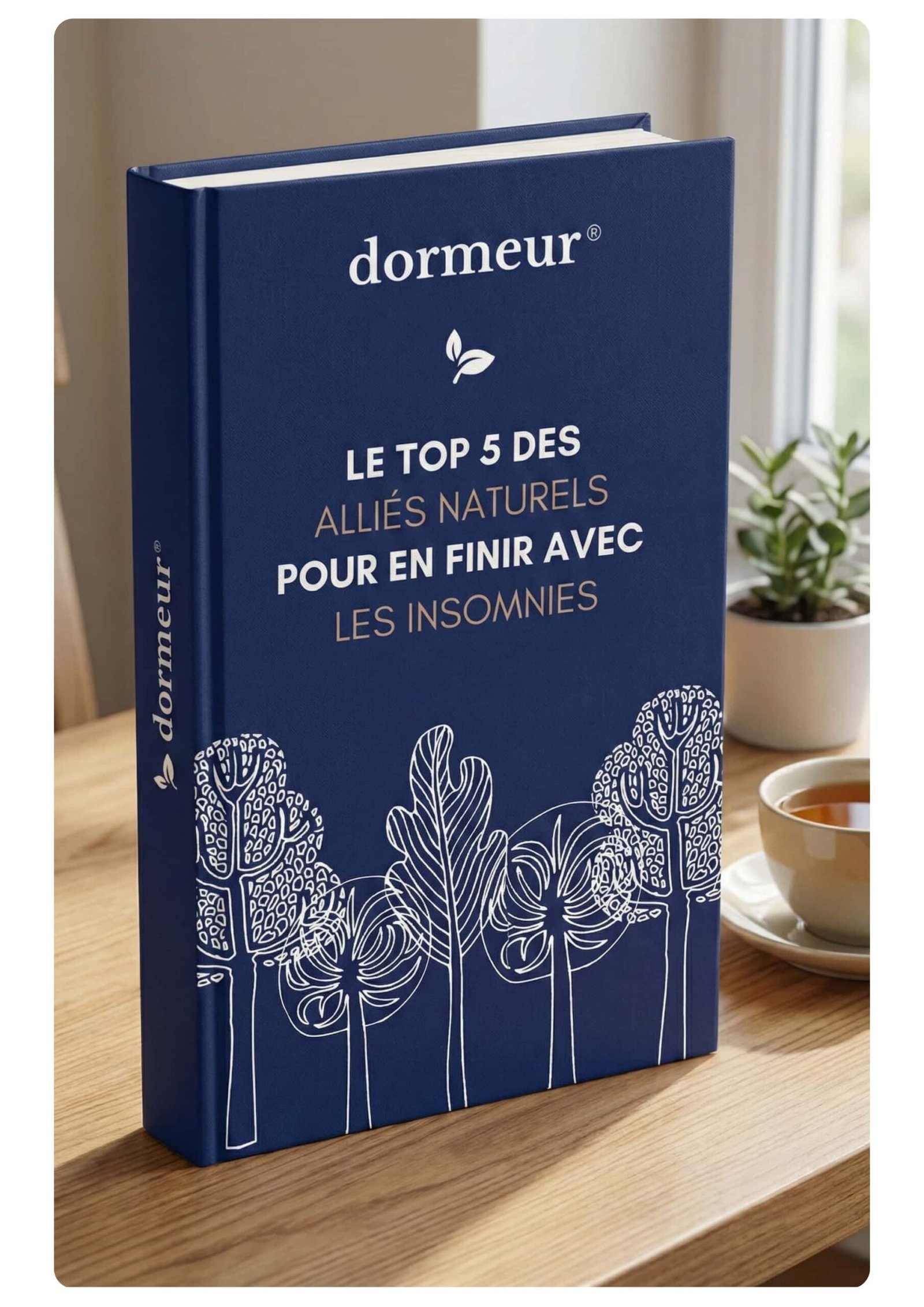 ebook dormeur.co