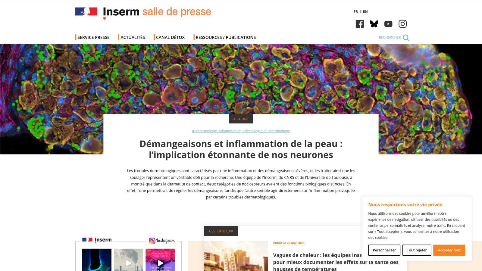 Comment l'hygiène de vie transforme votre confort thermique ?