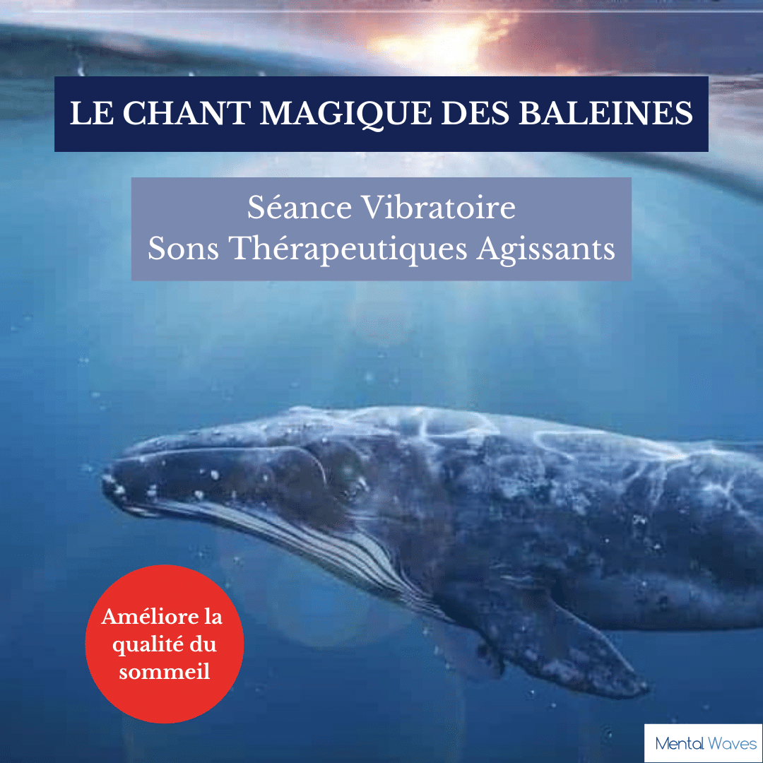 Le chant des baleines pour un sommeil de meilleure qualité