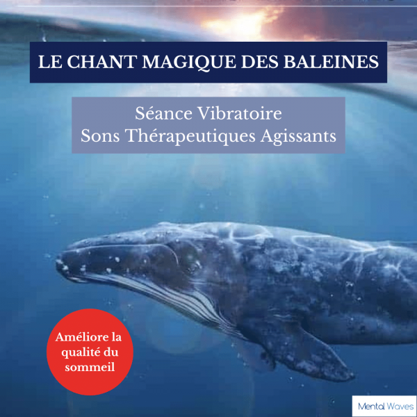 Le chant des baleines pour un sommeil de meilleure qualité