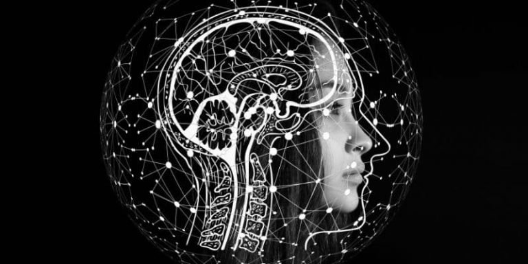 Pensée en arborescence : comment apprivoiser le trop-plein de pensées dans son cerveau ?